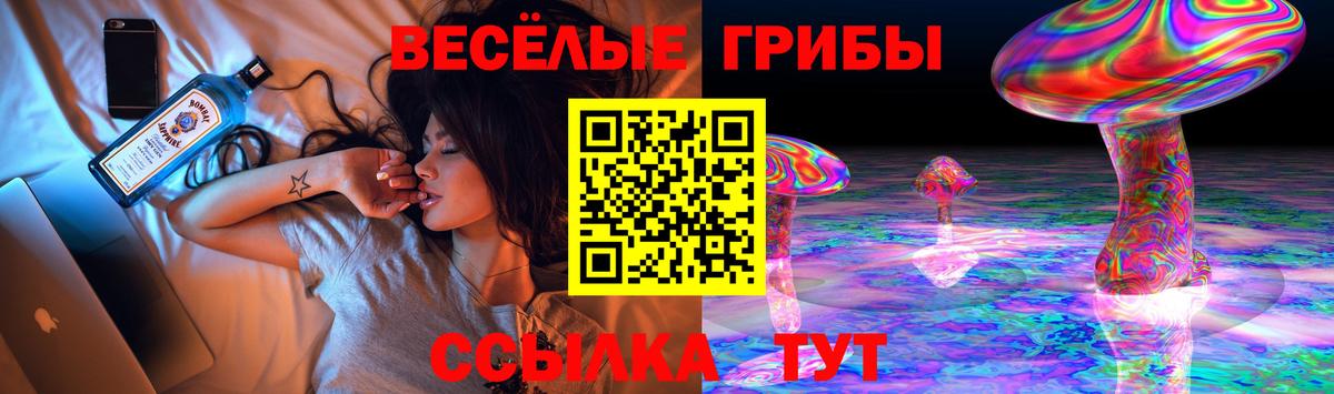 Дагестанские Огни  Галлюциногенные грибы мухоморы  Вход с VPN 